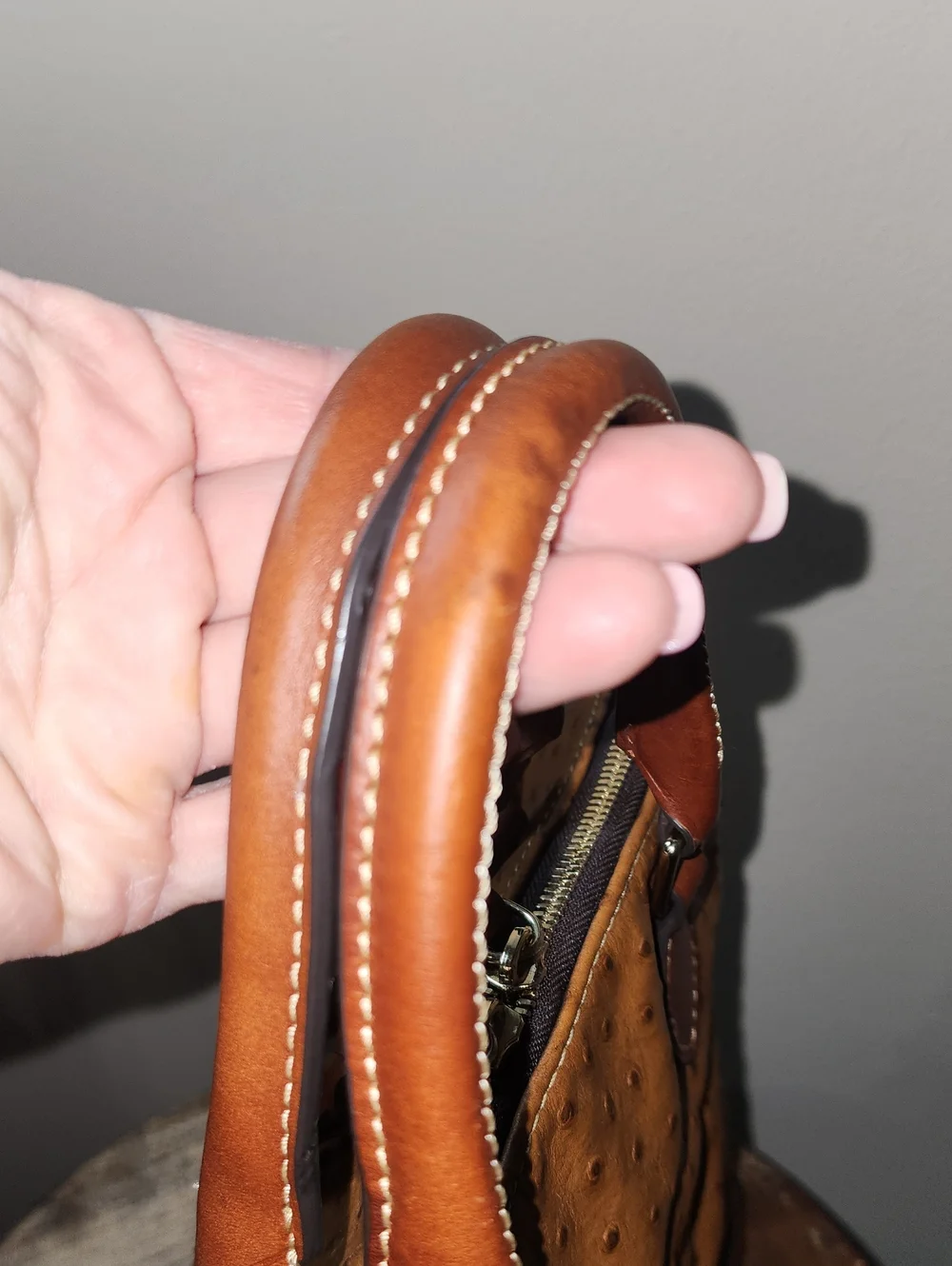 Dooney & Bourke Tan Brown Ostrich Embossed Satchel Purse Project